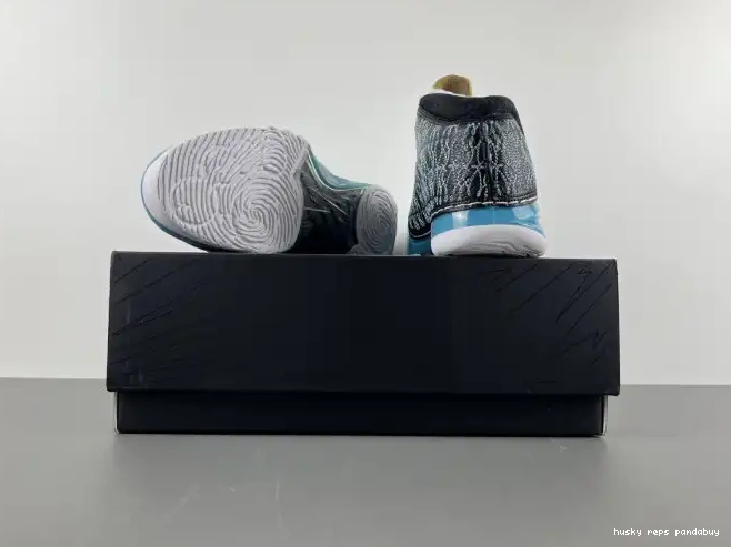 Rep Husky Jordan 318376-041 UNC 23 0211