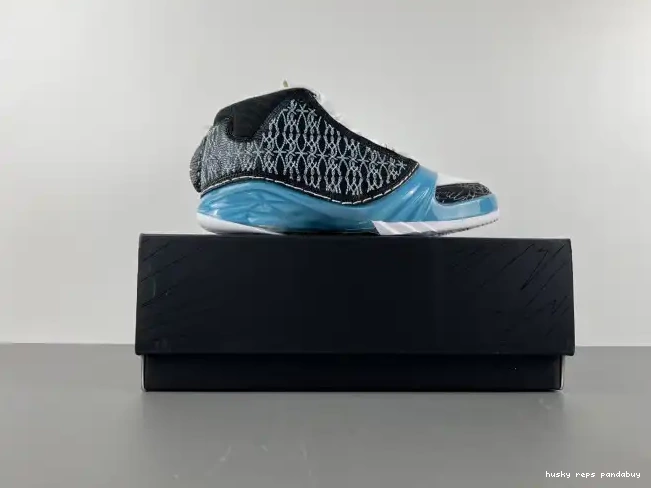 Rep Husky Jordan 318376-041 UNC 23 0211