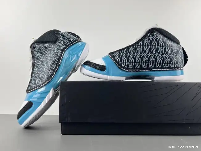 Rep Husky Jordan 318376-041 UNC 23 0211