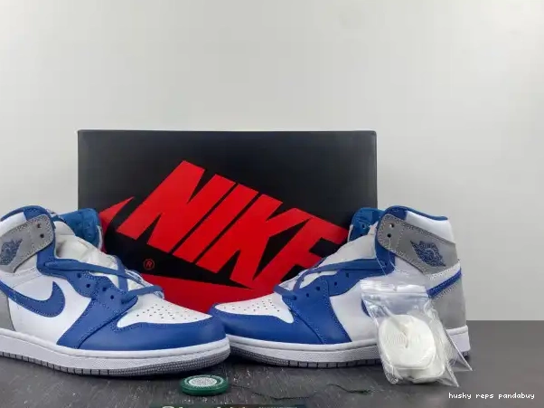 Rep Husky 1 DZ5485-410 True High Blue OG Air Jordan 0221